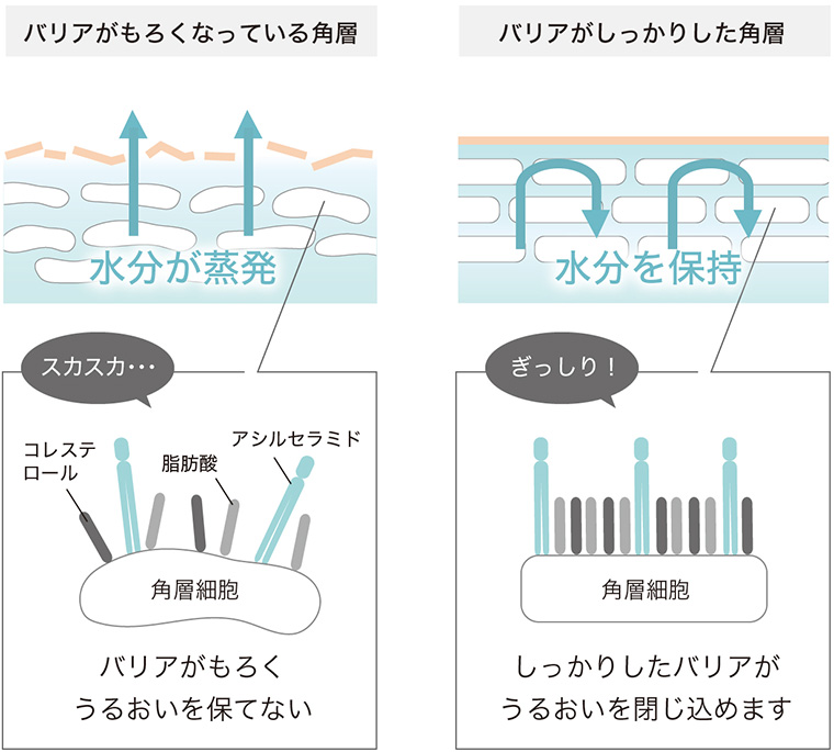 目元や目尻のケアに☆ザ アイクリーム | トゥヴェール