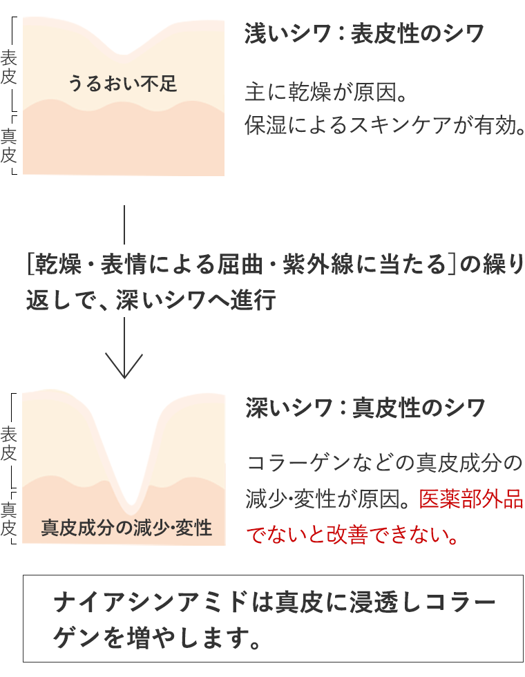 シワ改善クリーム☆薬用リンクルホワイトクリーム | トゥヴェール